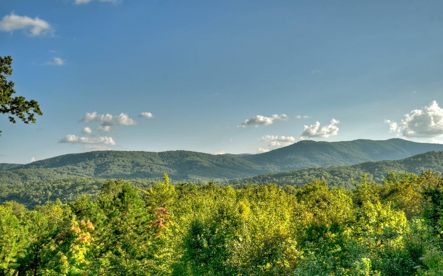 227 Deer Hunter Trail