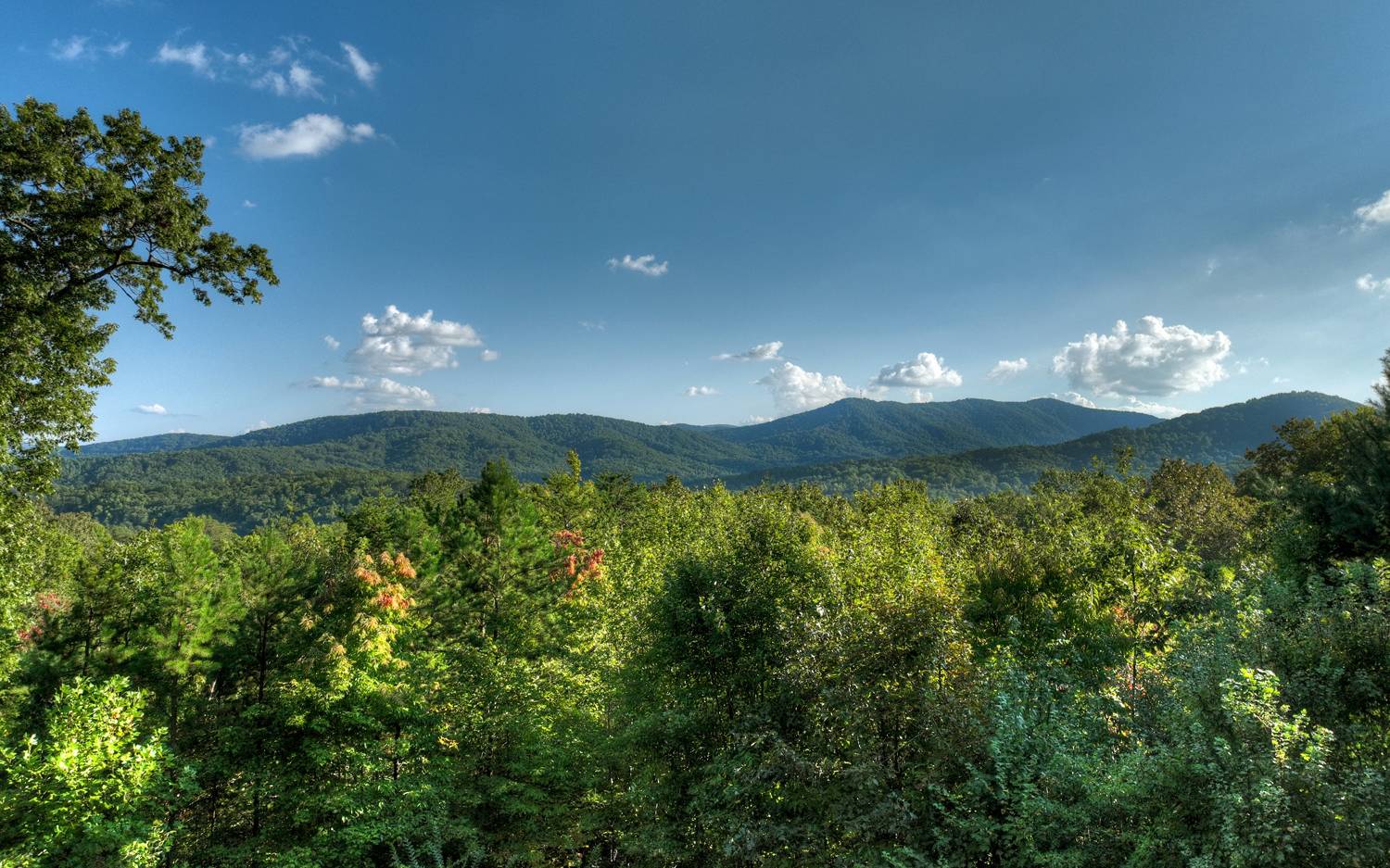 227 Deer Hunter Trail