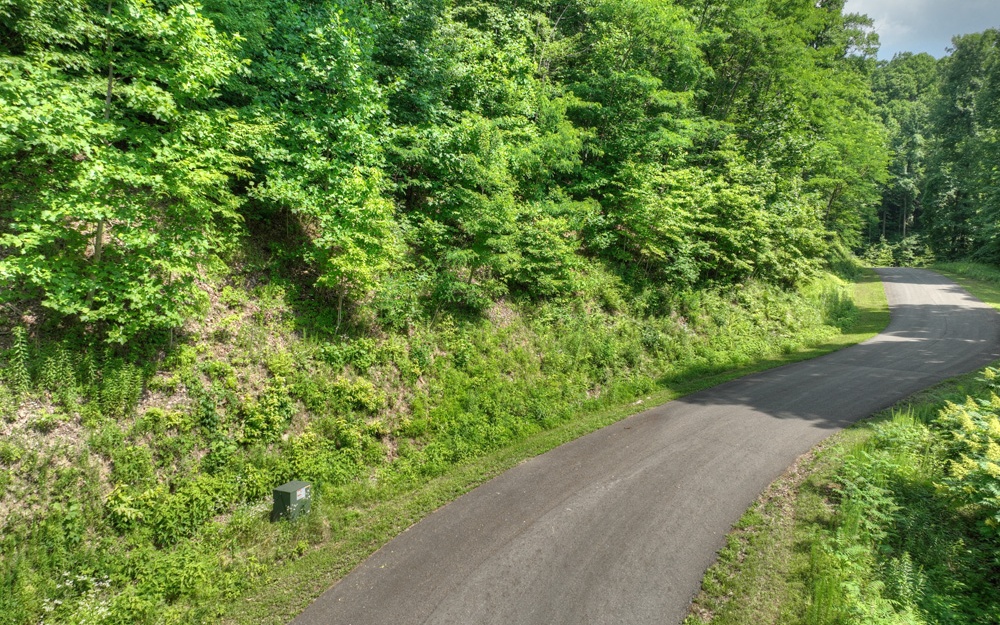 LT 38 Mountain Falls Loop