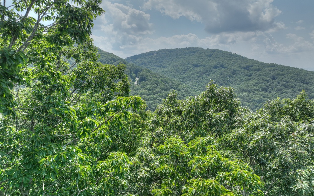 LT 38 Mountain Falls Loop