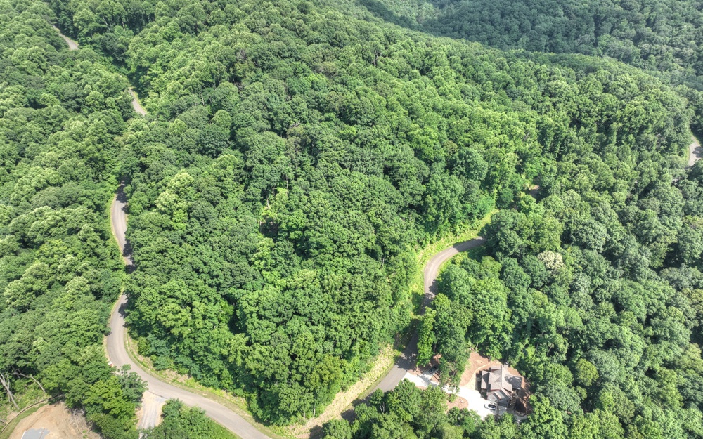 LT 38 Mountain Falls Loop