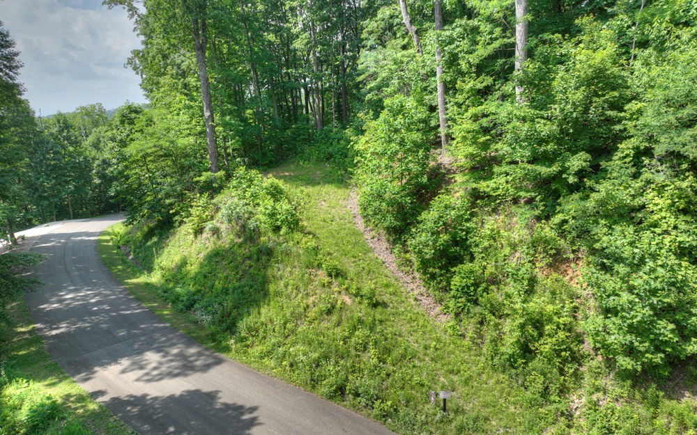 LT 38 Mountain Falls Loop