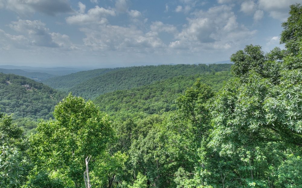 LT 38 Mountain Falls Loop