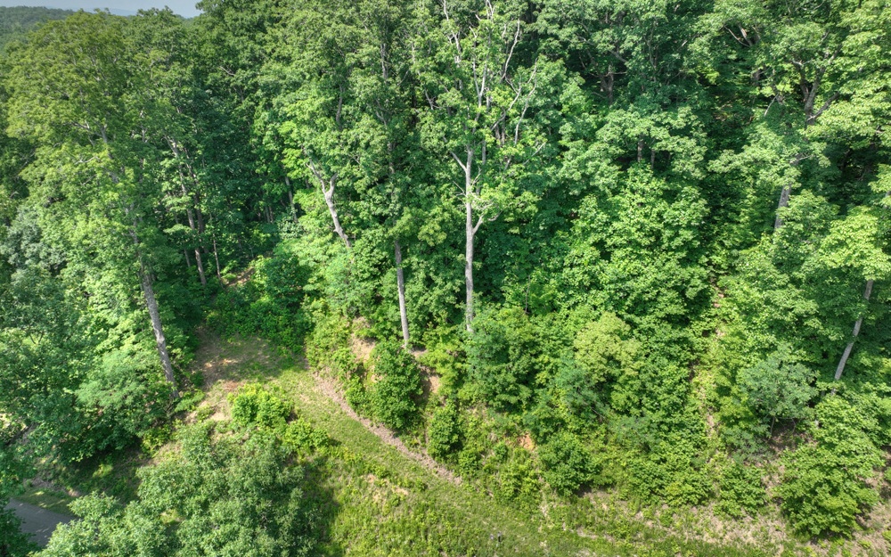 LT 38 Mountain Falls Loop