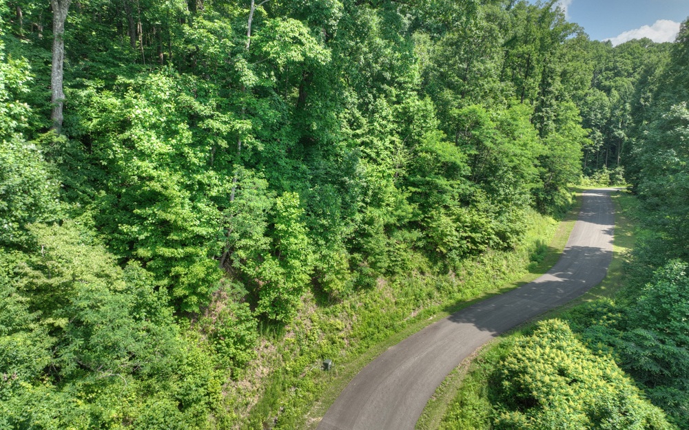 LT 38 Mountain Falls Loop