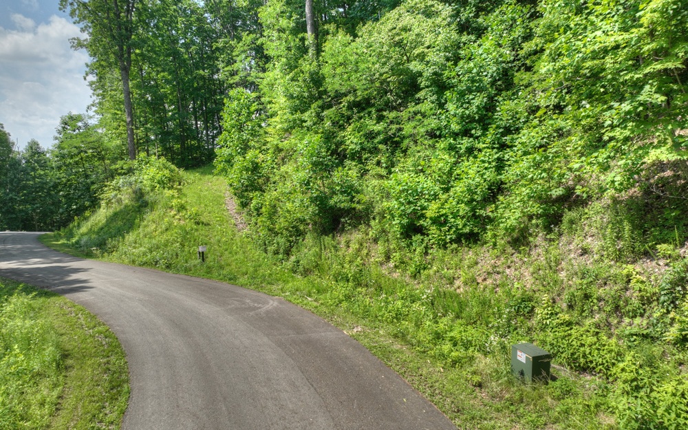 LT 38 Mountain Falls Loop