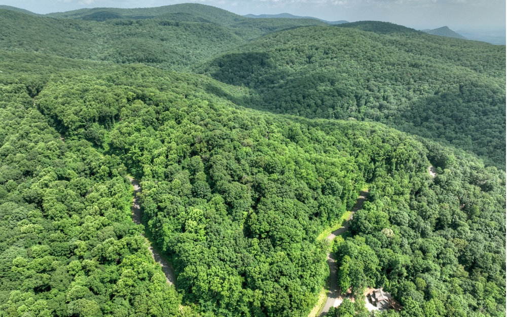 LT 38 Mountain Falls Loop