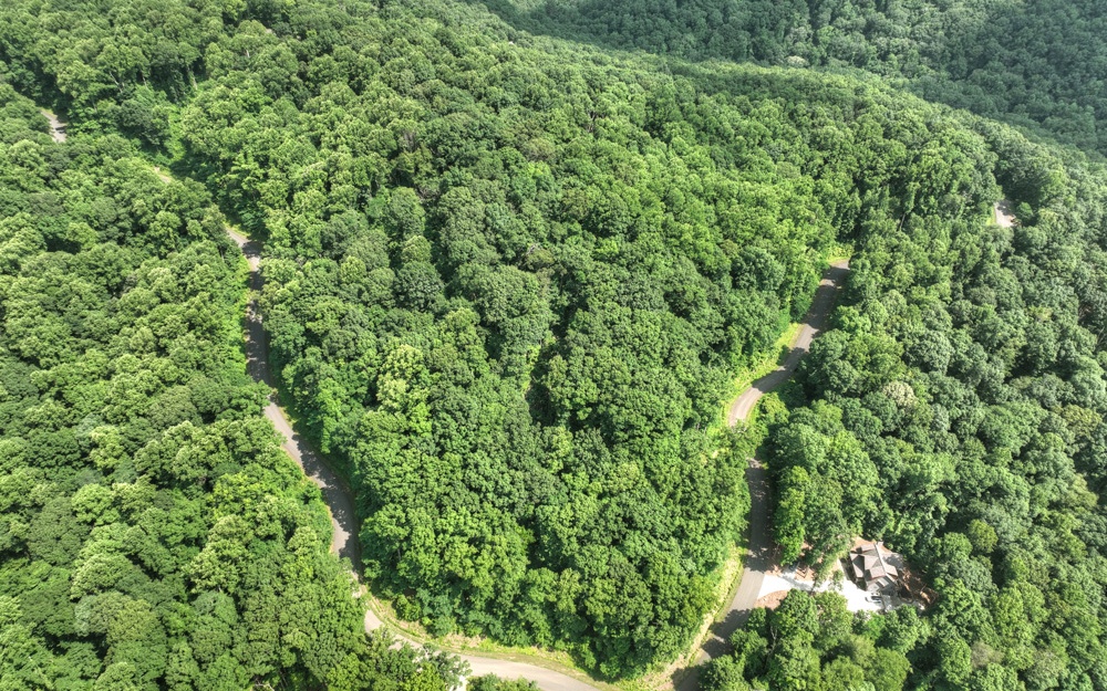 LT 38 Mountain Falls Loop