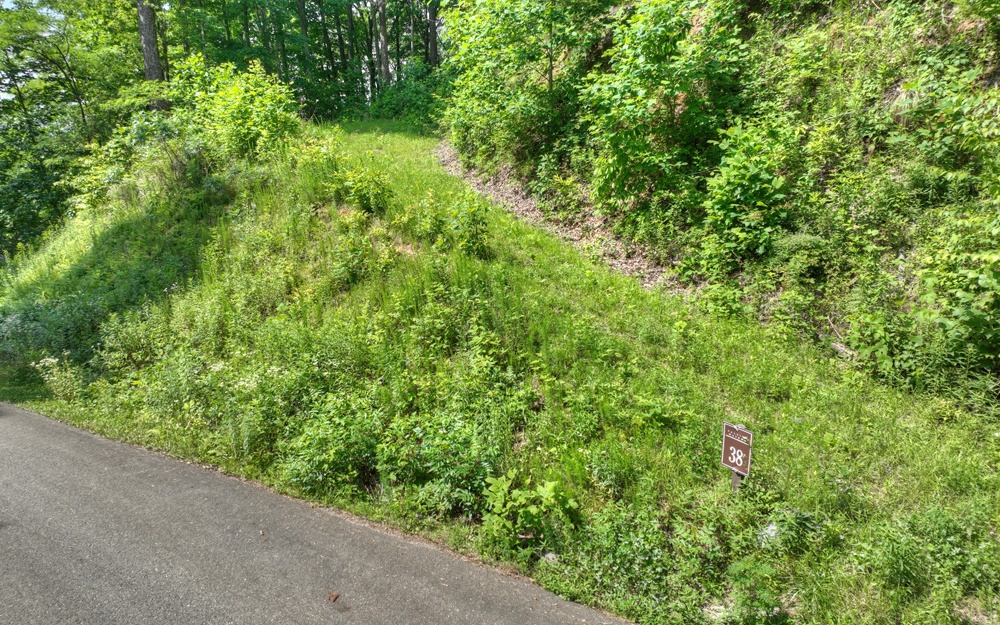 LT 38 Mountain Falls Loop