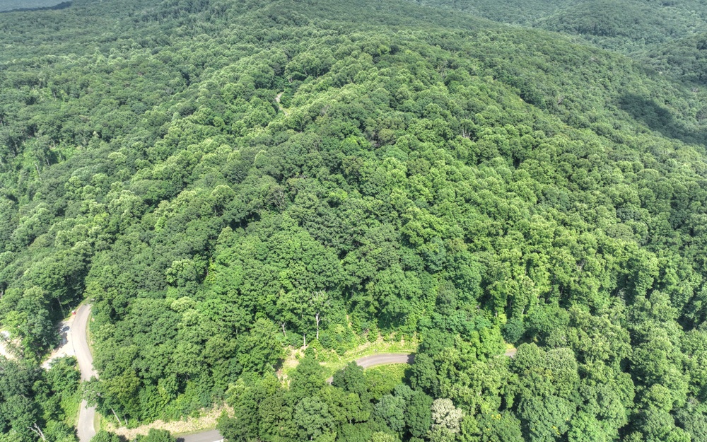 LT 38 Mountain Falls Loop