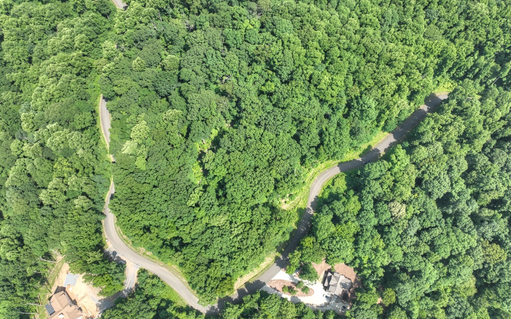 LT 38 Mountain Falls Loop