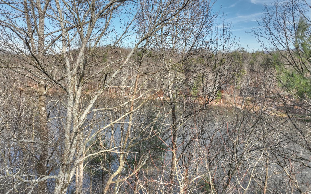 LT 21 Jones Creek Road