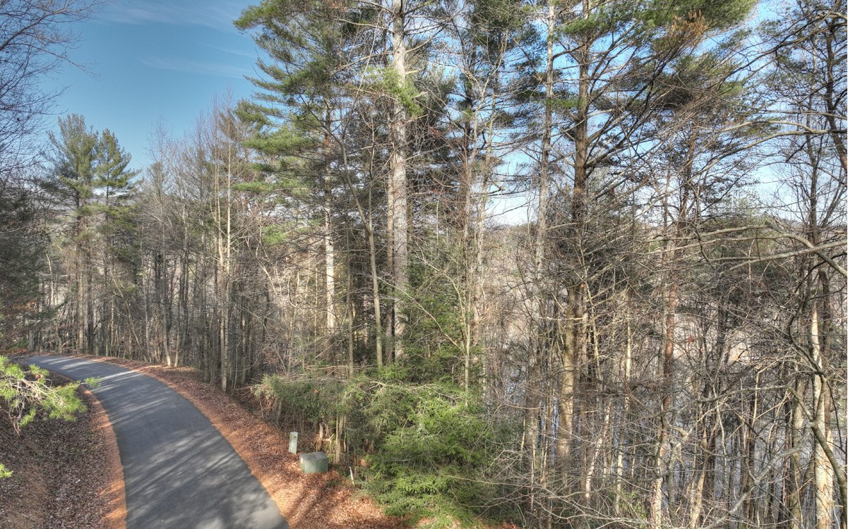 LT 21 Jones Creek Road