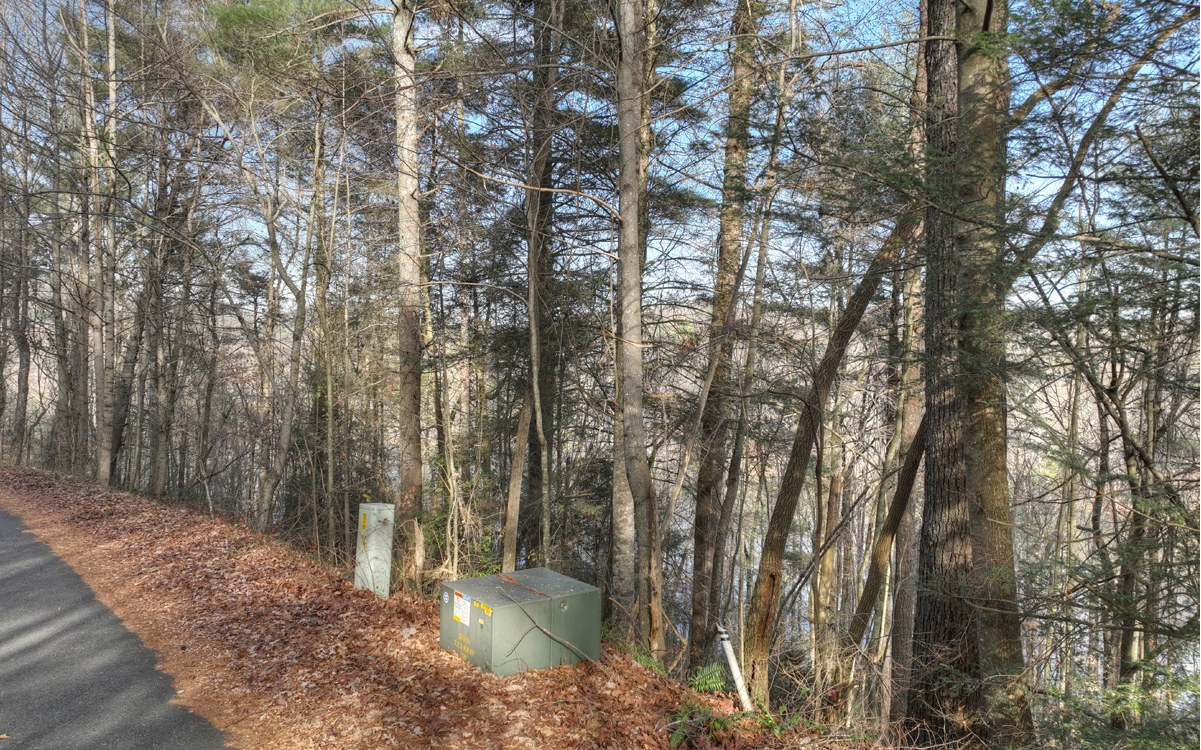 LT 21 Jones Creek Road