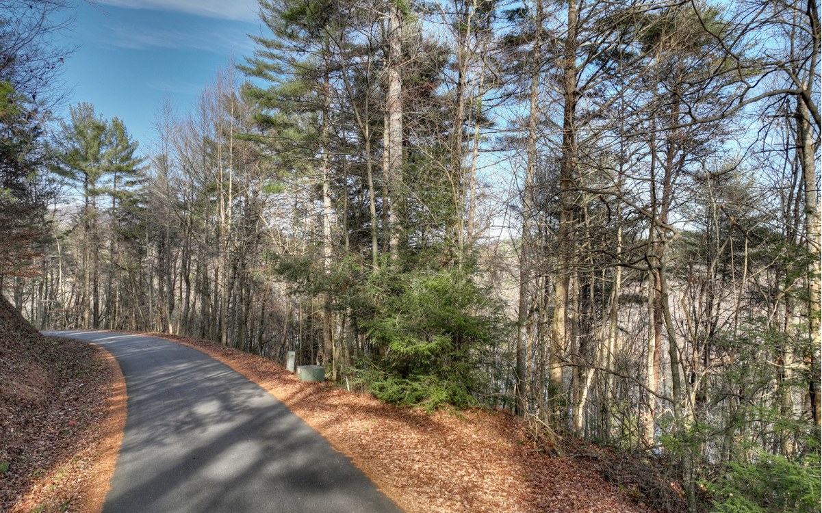 LT 21 Jones Creek Road