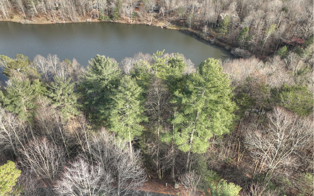 LT 21 Jones Creek Road