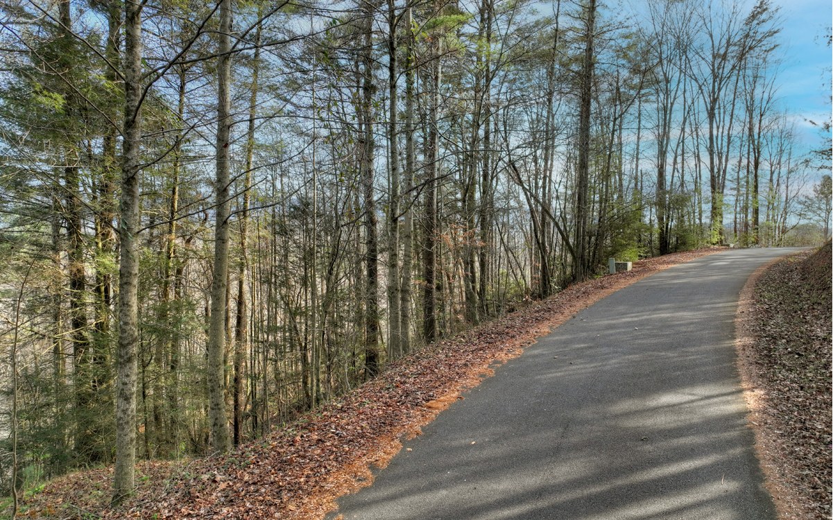 LT 21 Jones Creek Road