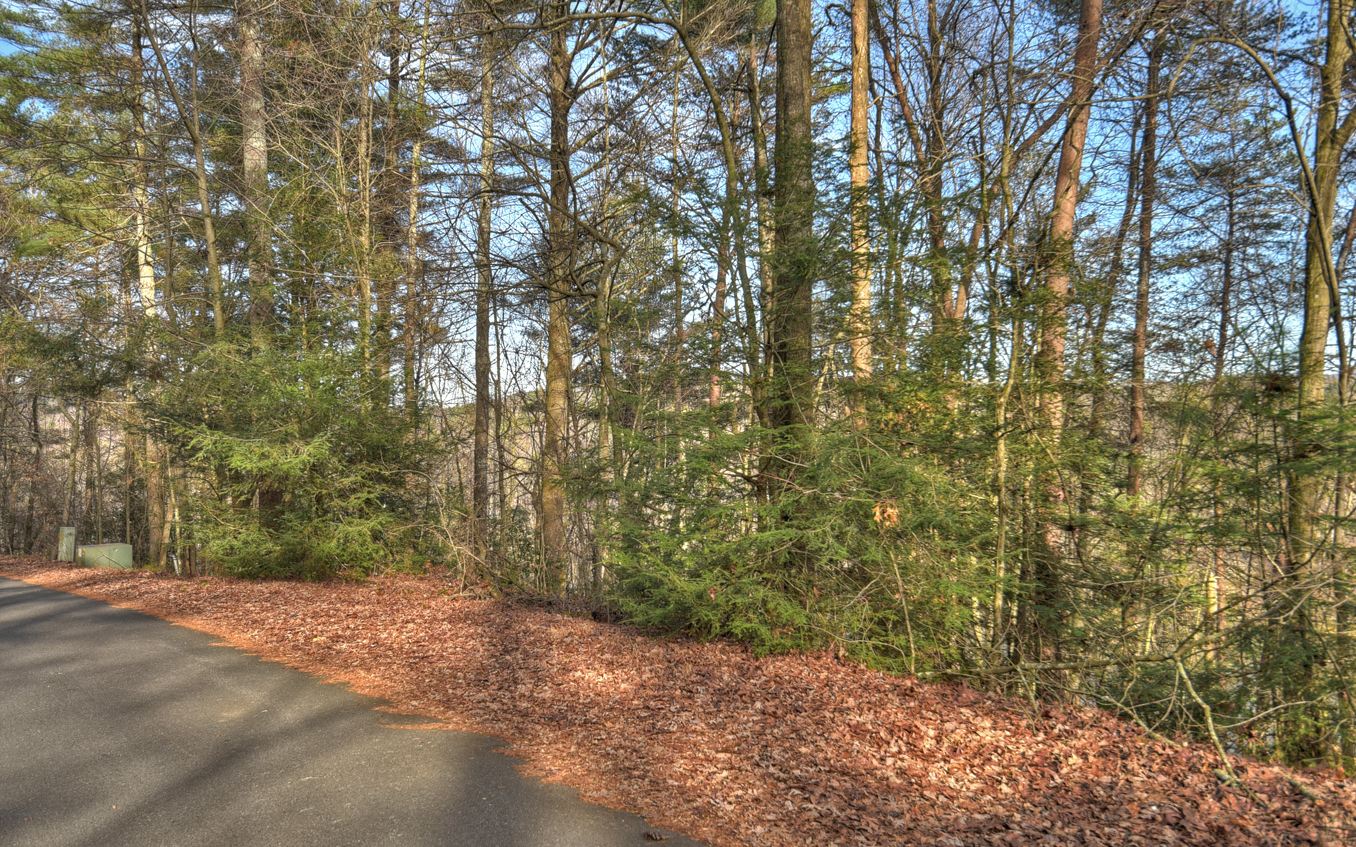 LT 21 Jones Creek Road