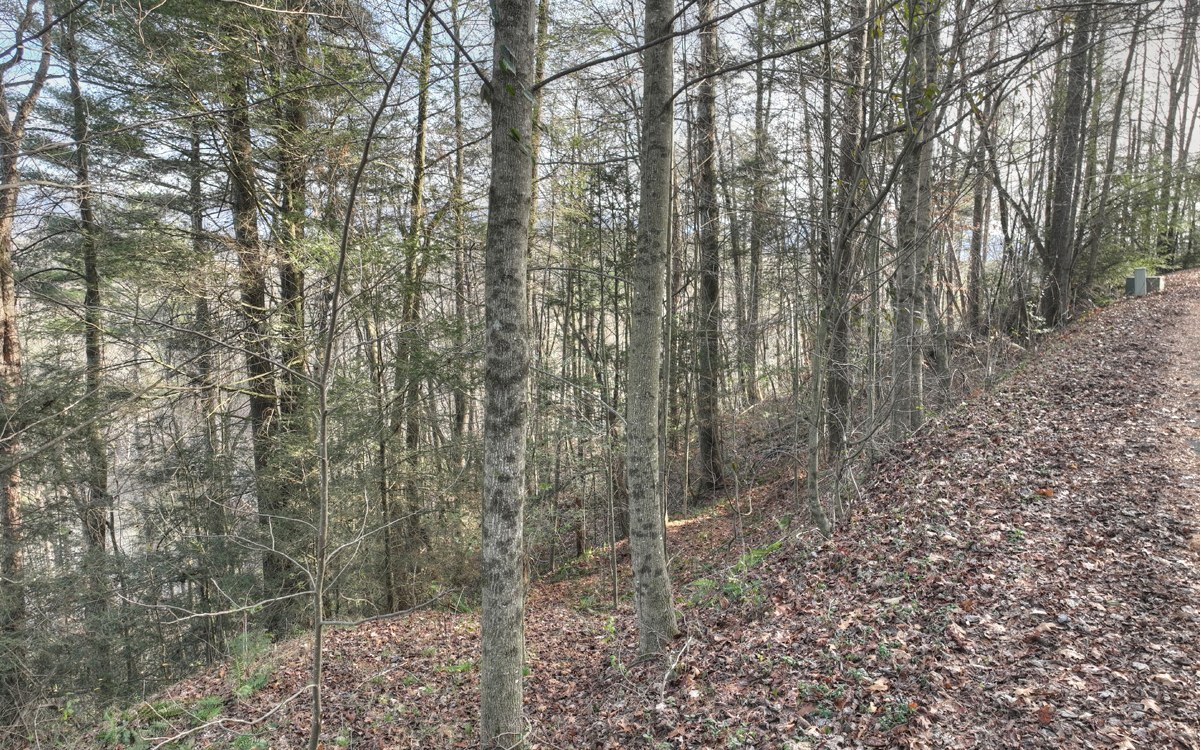 LT 21 Jones Creek Road