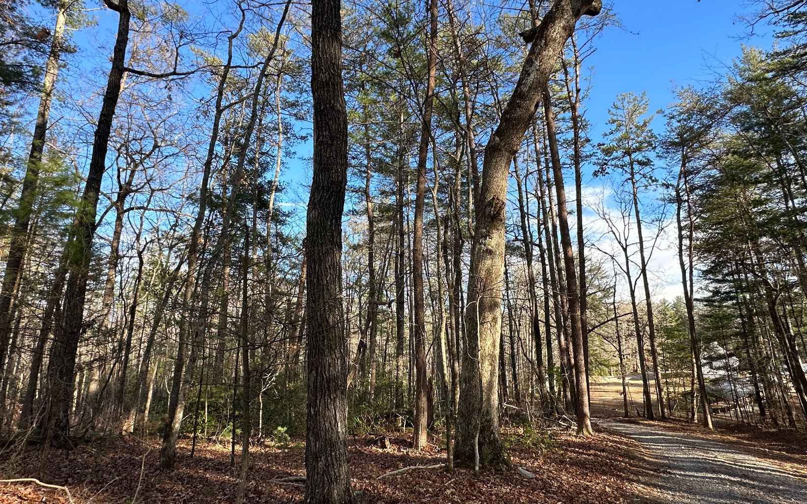 LT 1 Harrison & Ada Road