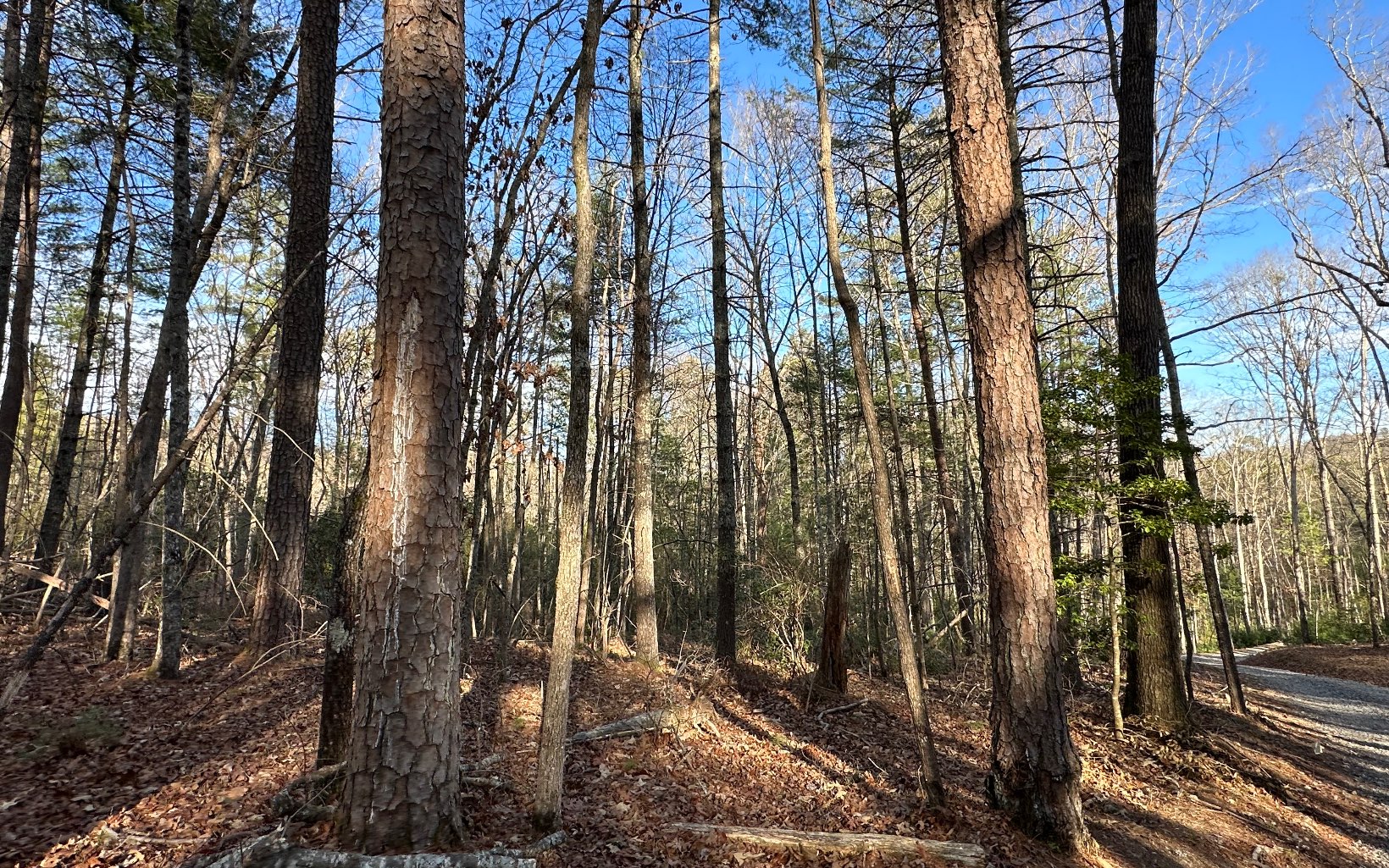 LT 1 Harrison & Ada Road