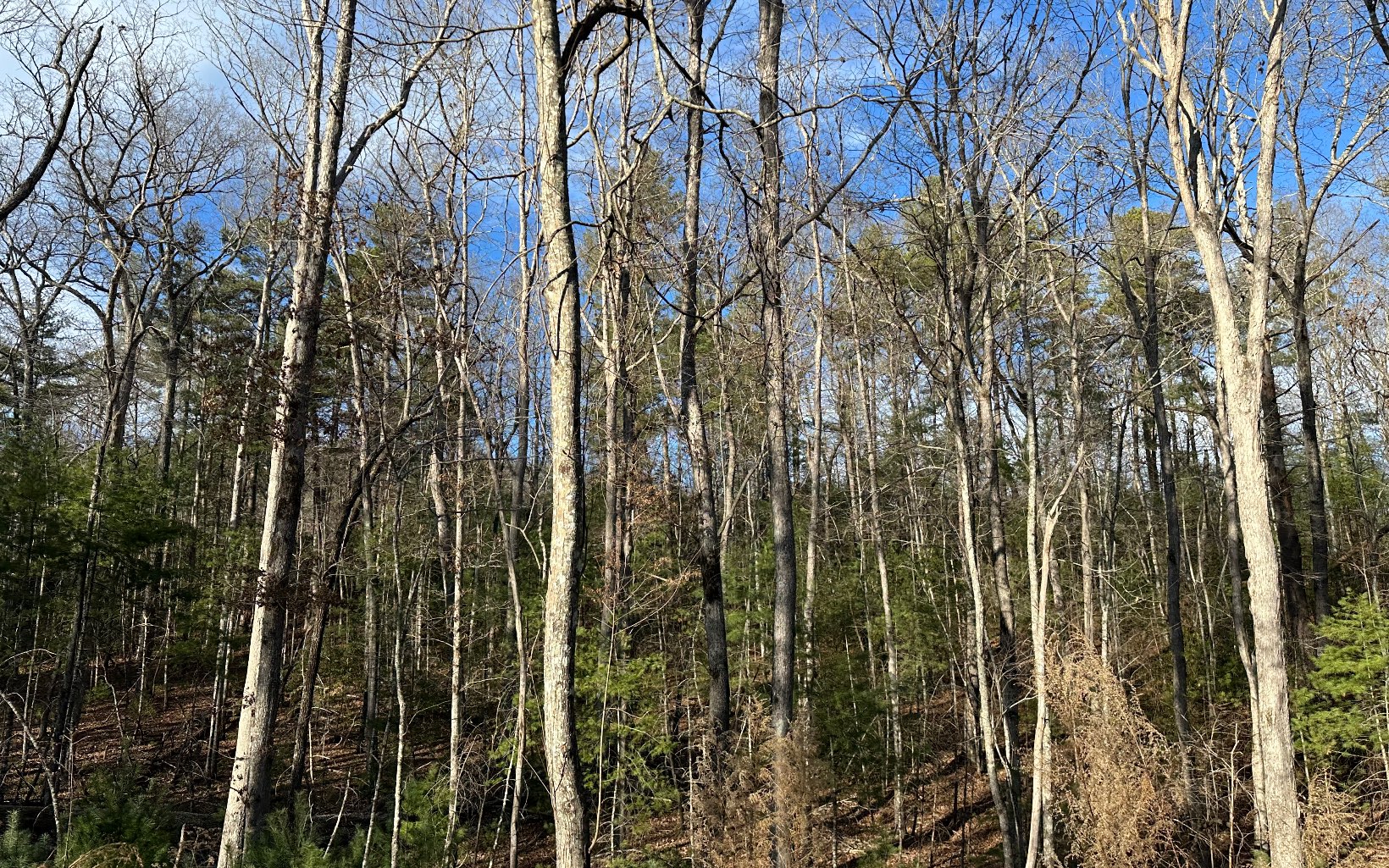 LT 1 Harrison & Ada Road