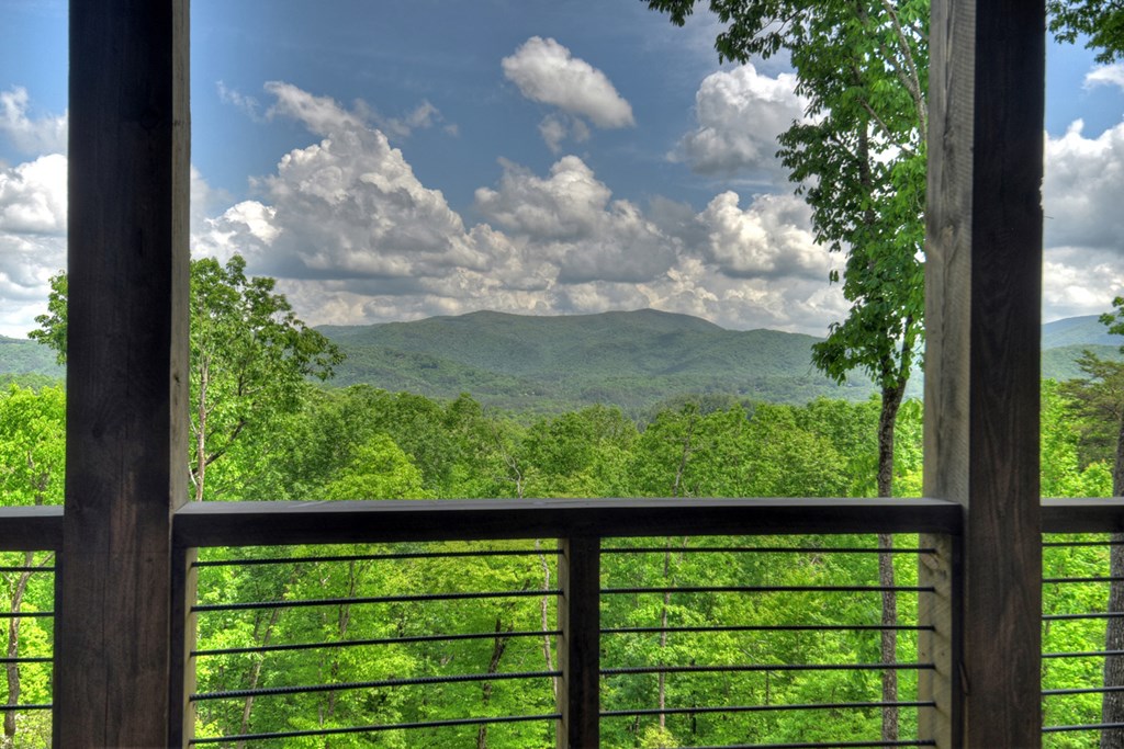 1235 Cherry Lake Drive