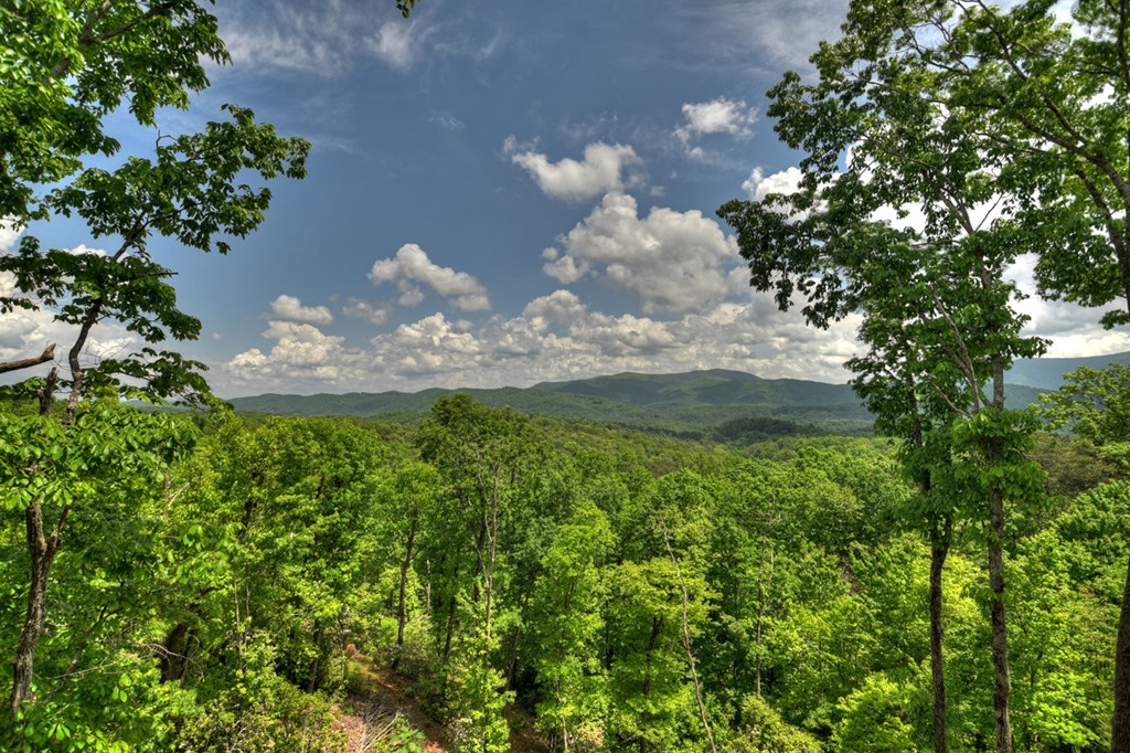 1235 Cherry Lake Drive