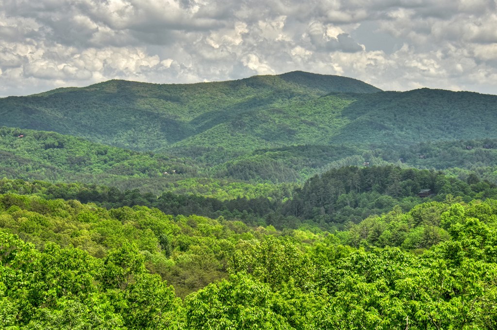 1235 Cherry Lake Drive