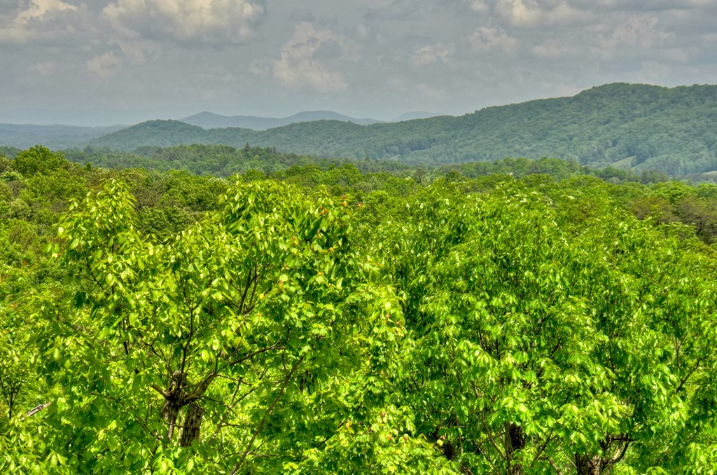 1235 Cherry Lake Drive