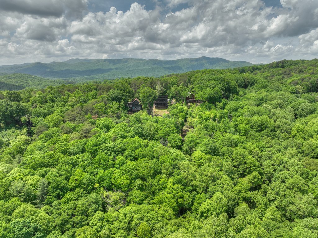 1235 Cherry Lake Drive