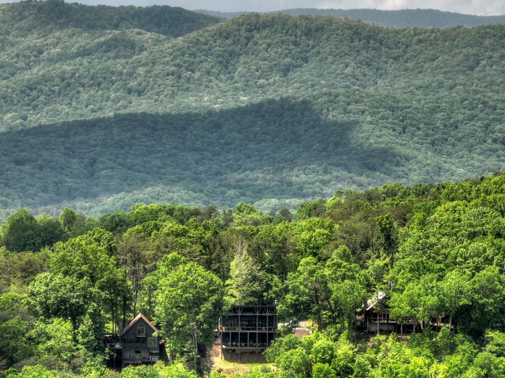 1235 Cherry Lake Drive