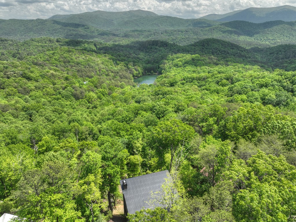 1235 Cherry Lake Drive