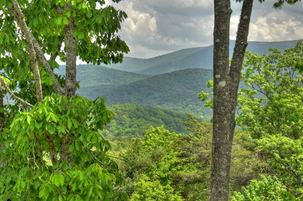 1235 Cherry Lake Drive