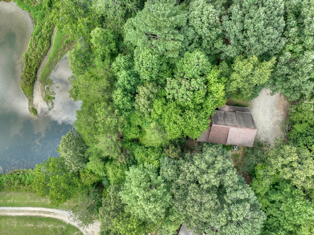 92 Hidden Pines Trail