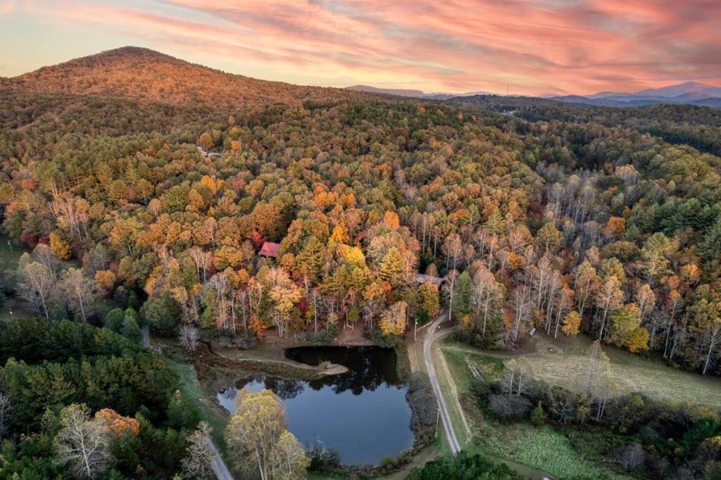 92 Hidden Pines Trail