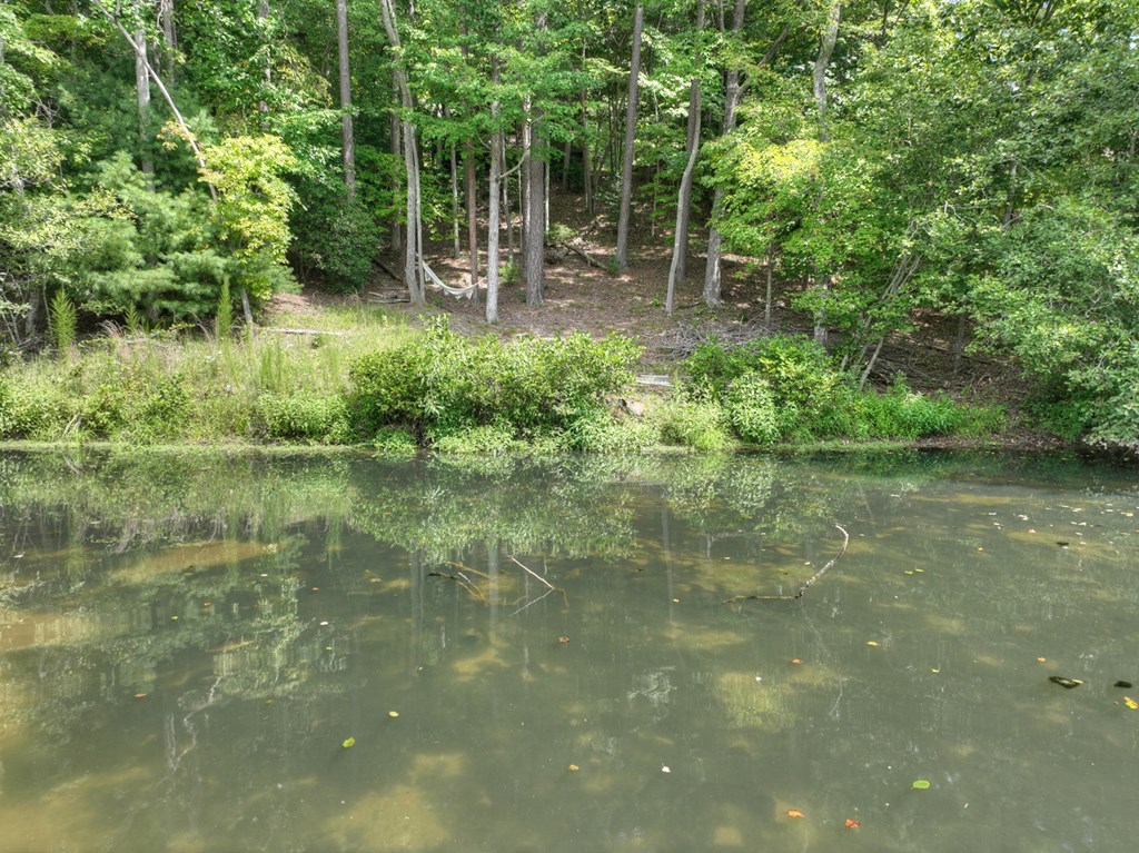 92 Hidden Pines Trail