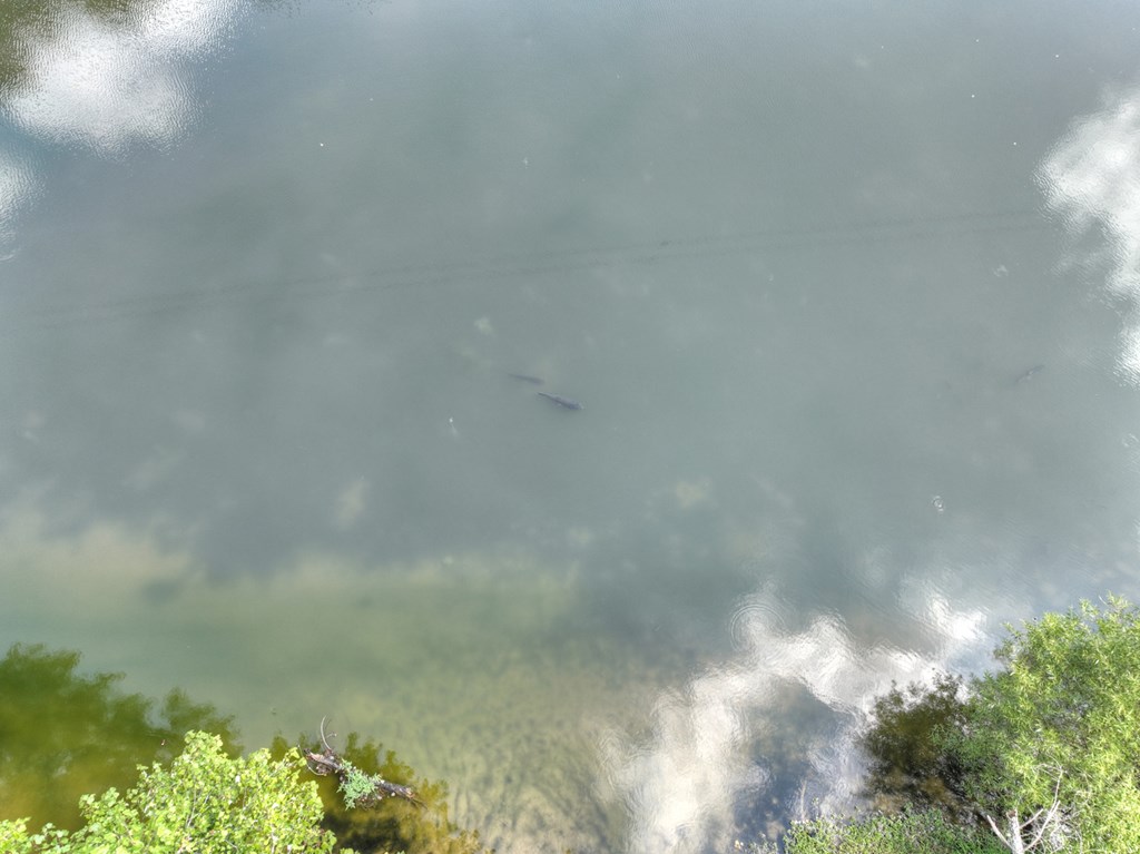 92 Hidden Pines Trail