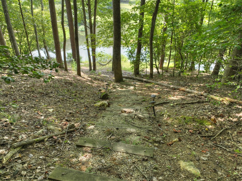 92 Hidden Pines Trail