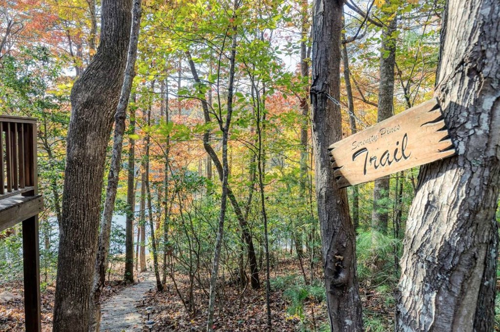 92 Hidden Pines Trail