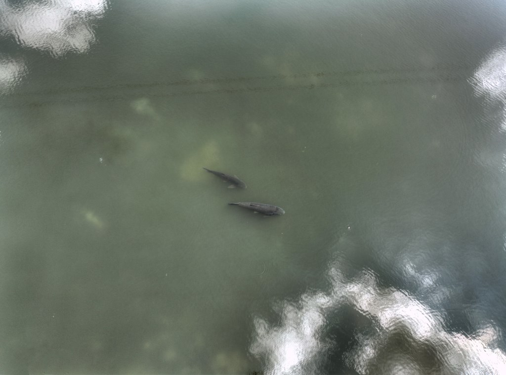 92 Hidden Pines Trail