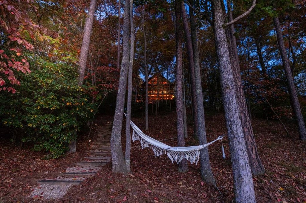 92 Hidden Pines Trail