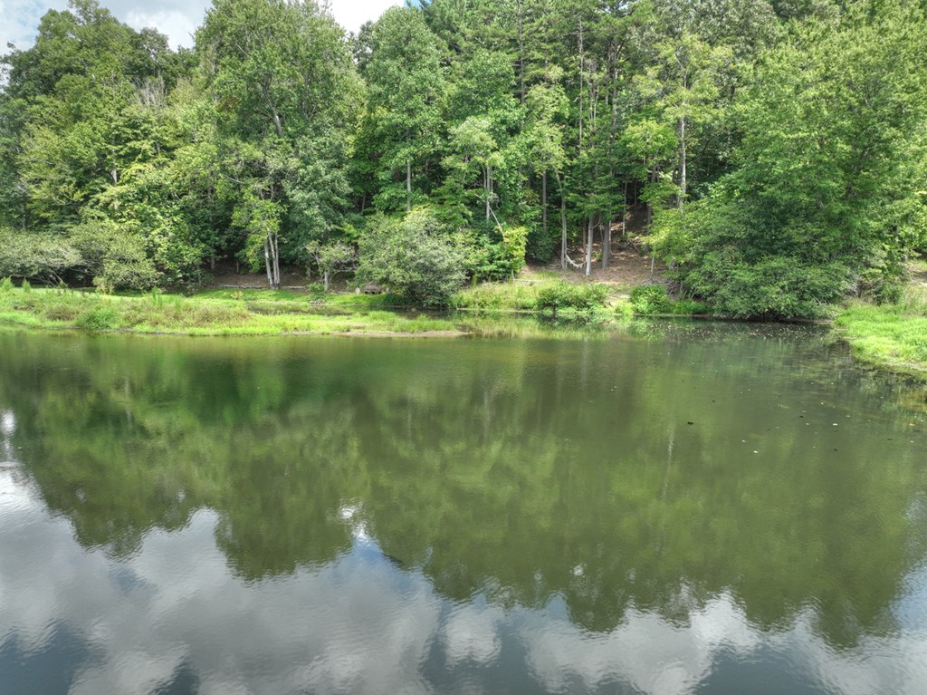 92 Hidden Pines Trail