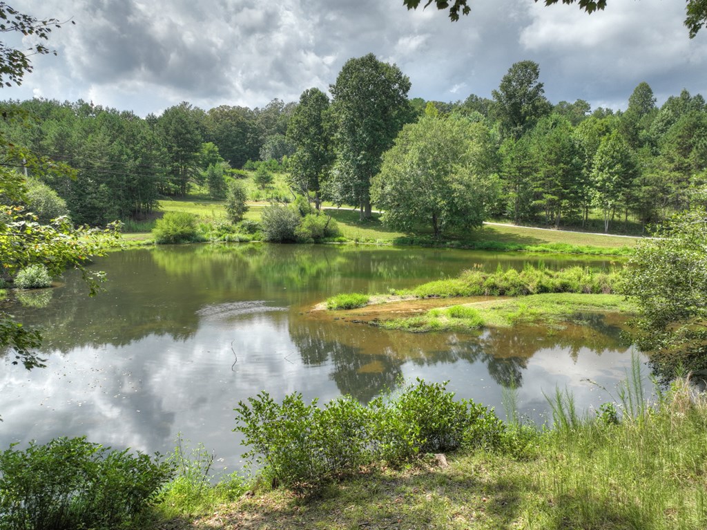 92 Hidden Pines Trail