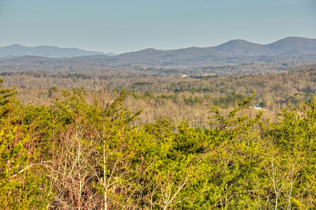 13 Cohutta Overlook Drive