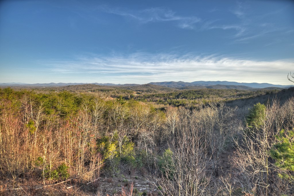 13 Cohutta Overlook Drive