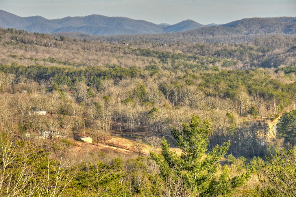 13 Cohutta Overlook Drive