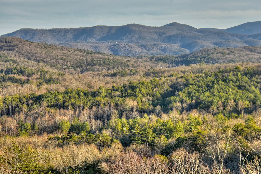 13 Cohutta Overlook Drive