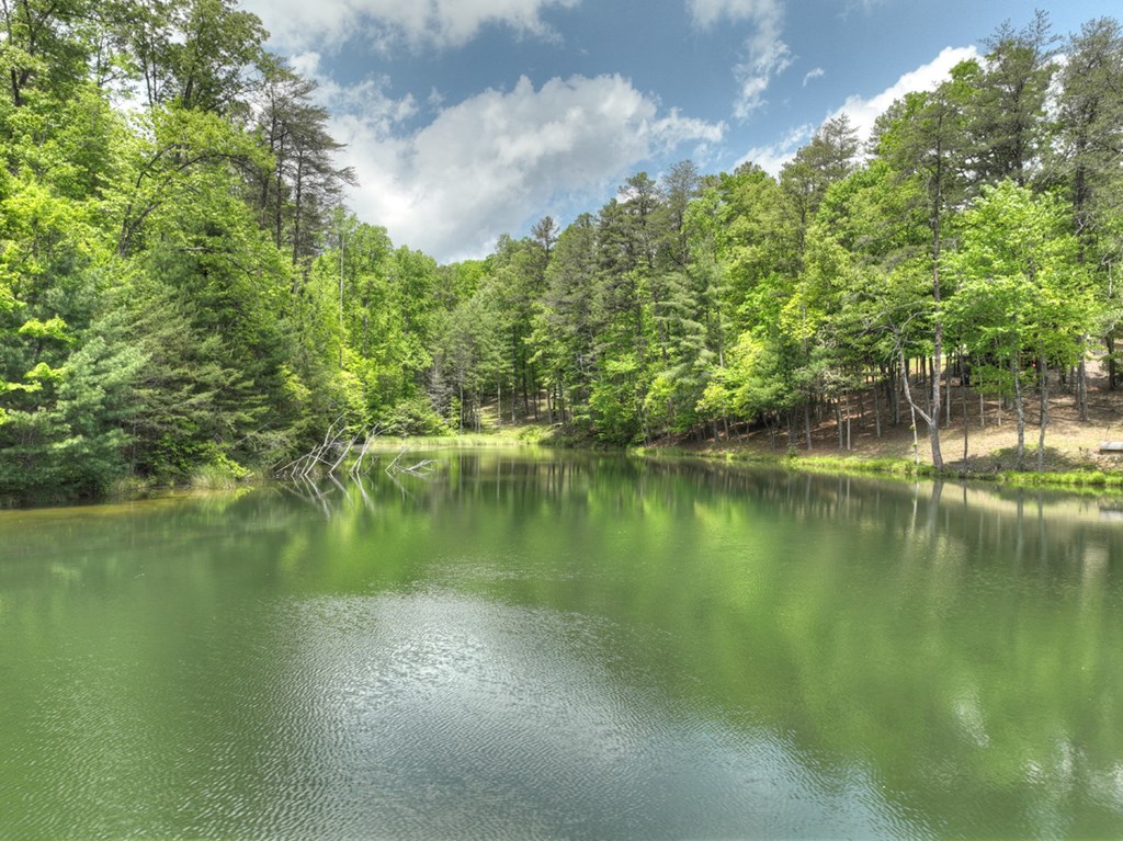 127 Jason Martin Circle