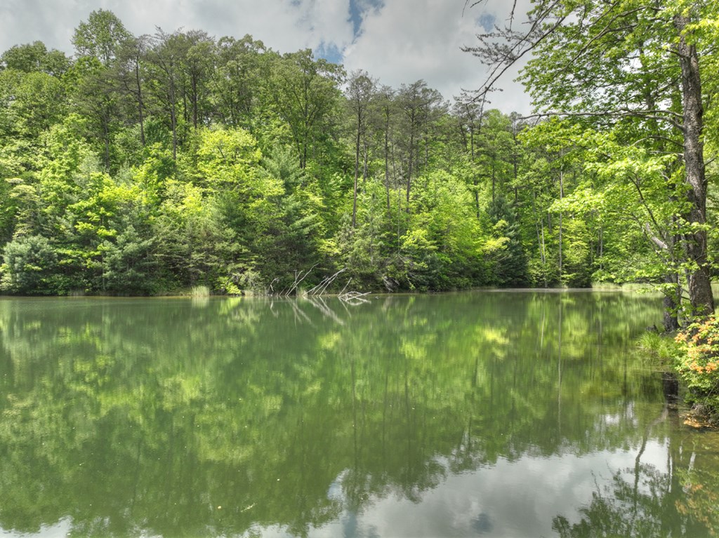 127 Jason Martin Circle